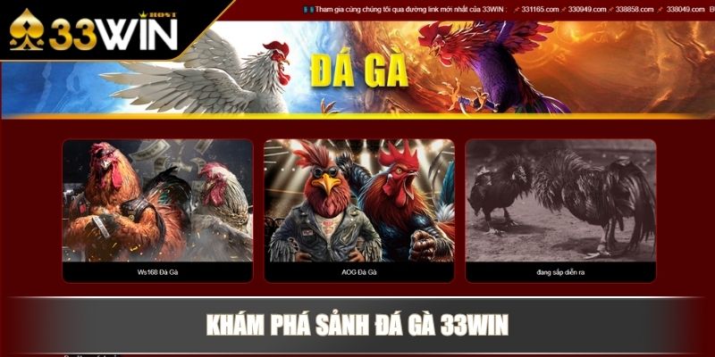 Bí quyết tham gia đá gà 33WIN thắng lớn