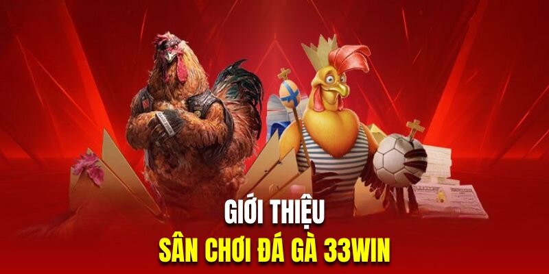 Khám phá các thể loại đá gà tại 33WIN
